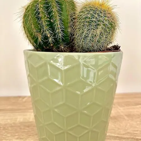 Le Loft De Appartement Barbizon